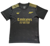 Arsenal Portiere - 24/25